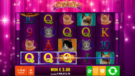 Cutie Cat - Screenshot 4