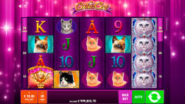 Cutie Cat - Screenshot 8