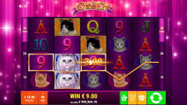 Cutie Cat - Screenshot 6