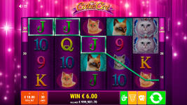 Cutie Cat - Screenshot 2