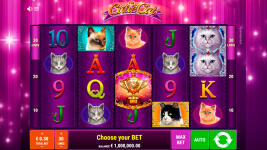 Cutie Cat - Screenshot 1