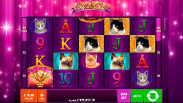 Cutie Cat - Screenshot 3