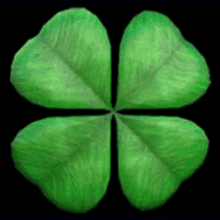 Alles Spitze King of Luck online spiele Glückssymbole Vierblättriger Klee