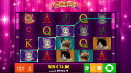 Cutie Cat - Screenshot 5