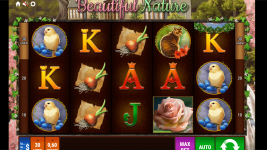 Beautiful Nature - Screenshot 1